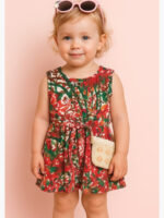 Little Girls Frock, Multi Color