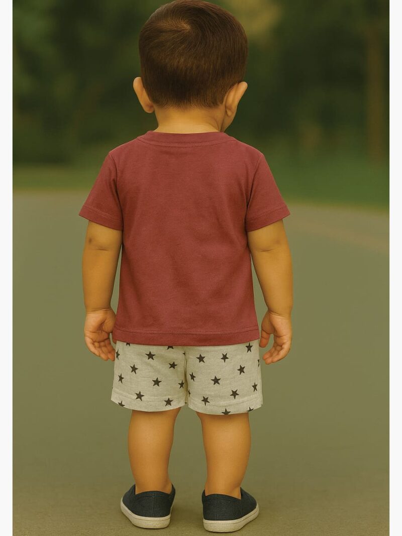 Boy Baby Cotton T-Shirt Combo - Terracotta & Seafoam Green
