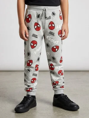 Boys Cotton Printed Jogger Pant - Grey
