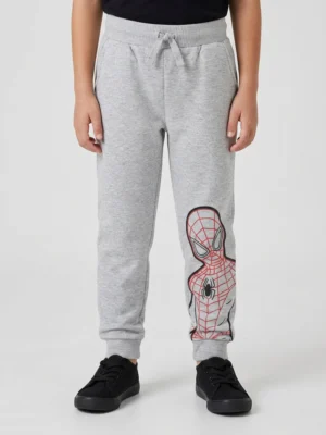 Boys Cotton Printed Jogger Pant - Grey