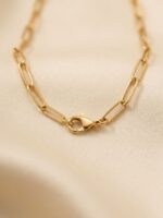 WJ-WP-CH02-MY-01 (3) Unisex Gold Paperclip Chain