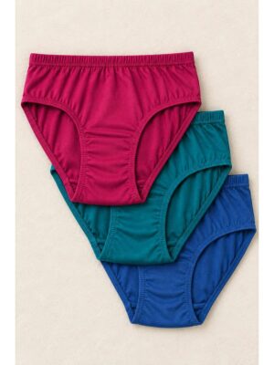 Women's Cotton Brief Panties, Multicolor