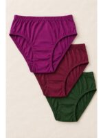 Women's Cotton Brief Panties, Multicolor